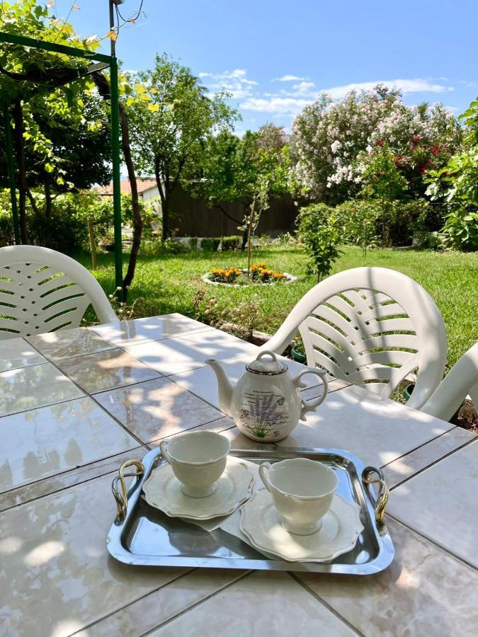 Apartments Marina Bečići المظهر الخارجي الصورة