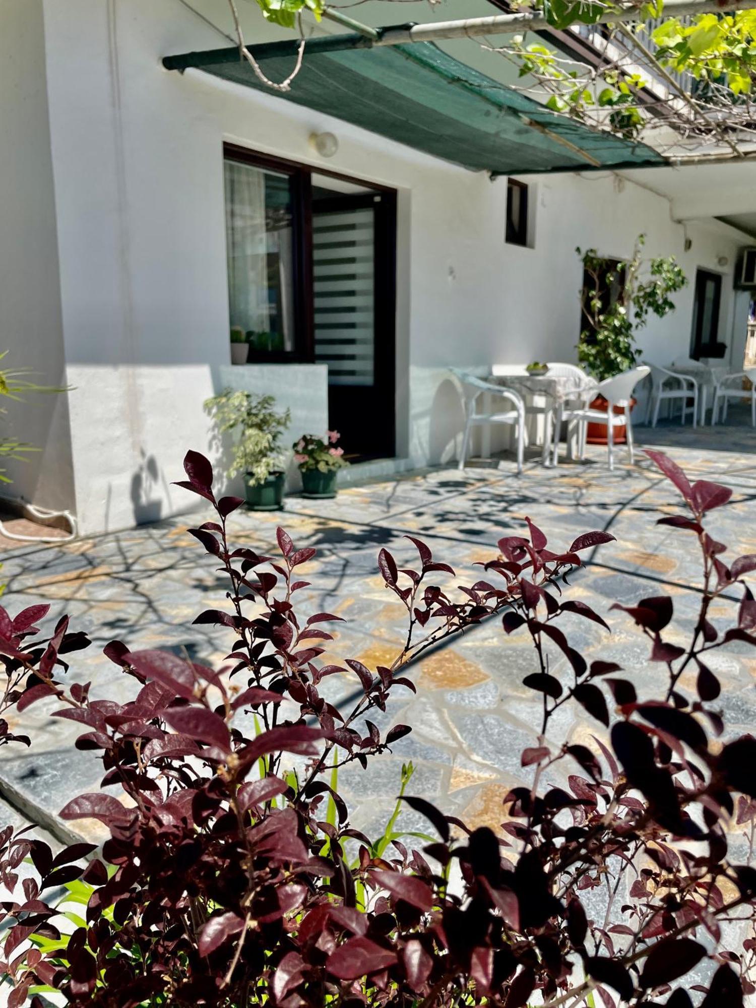 Apartments Marina Bečići المظهر الخارجي الصورة