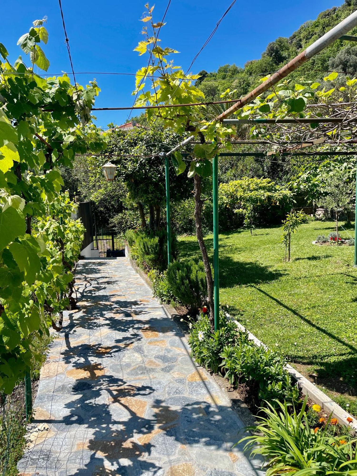 Apartments Marina Bečići المظهر الخارجي الصورة