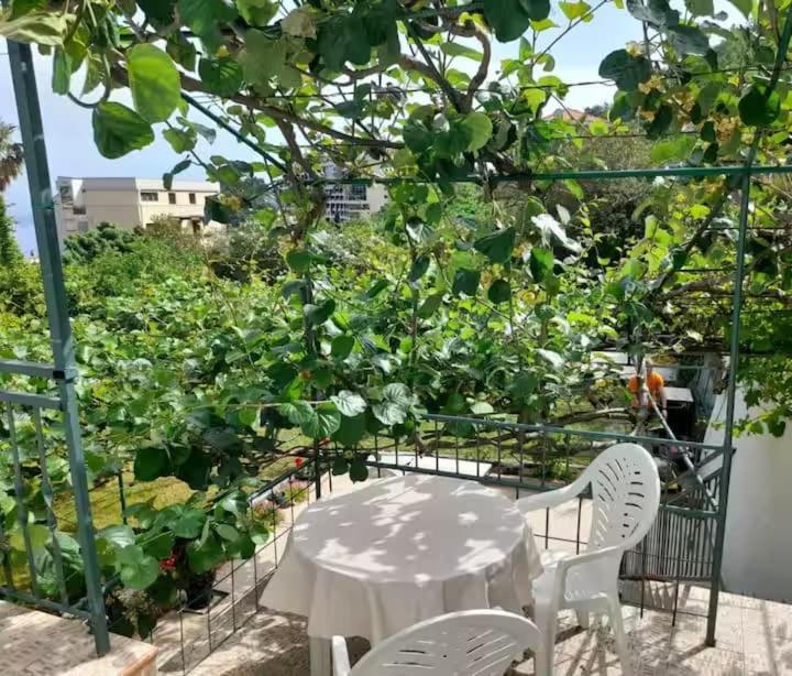 Apartments Marina Bečići المظهر الخارجي الصورة